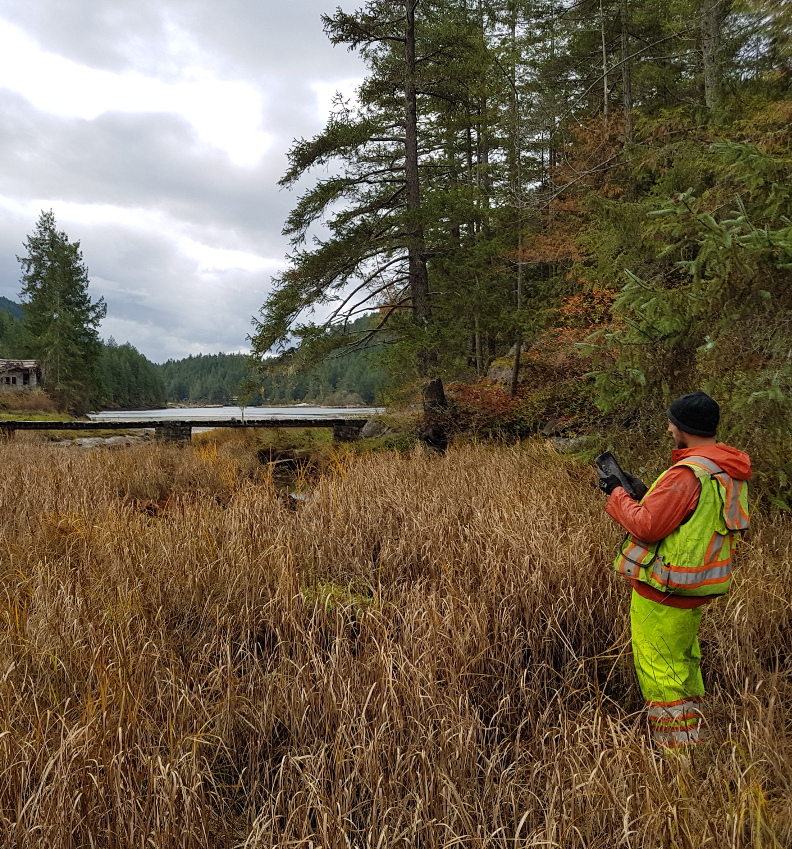 Pender Harbour Shoreline Survey