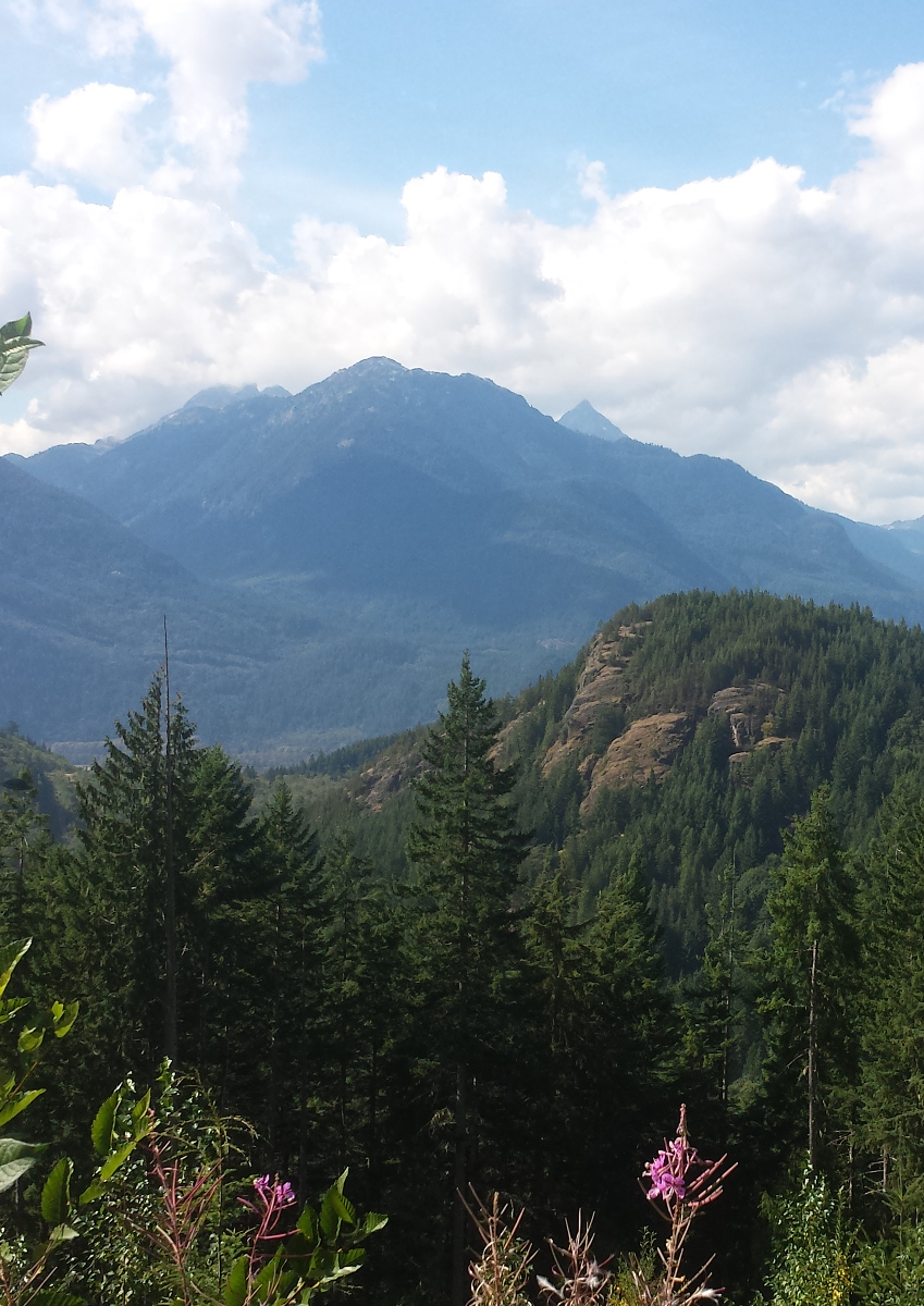 Eagle Mountain - Woodfibre Gas Pipeline Project