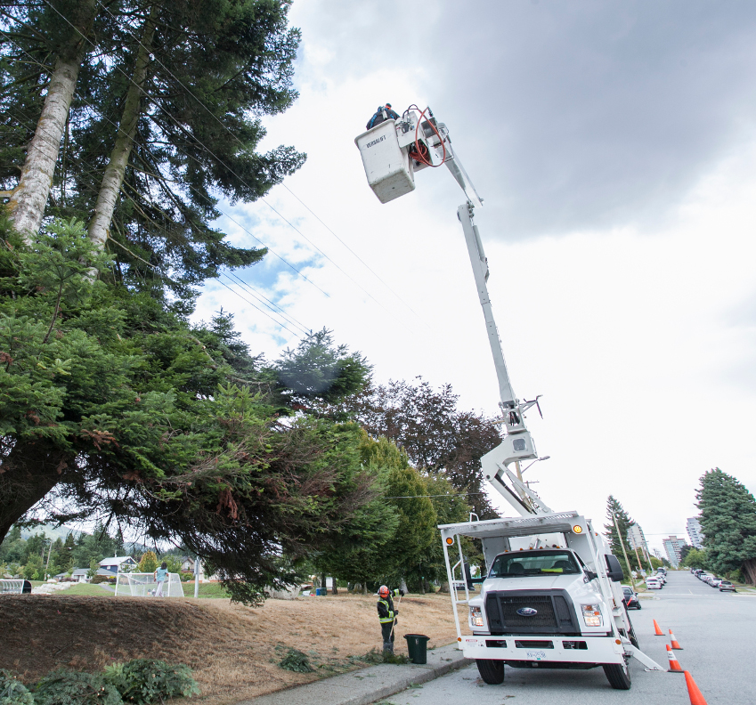 BC Hydro Transmission Vegetation Management Services