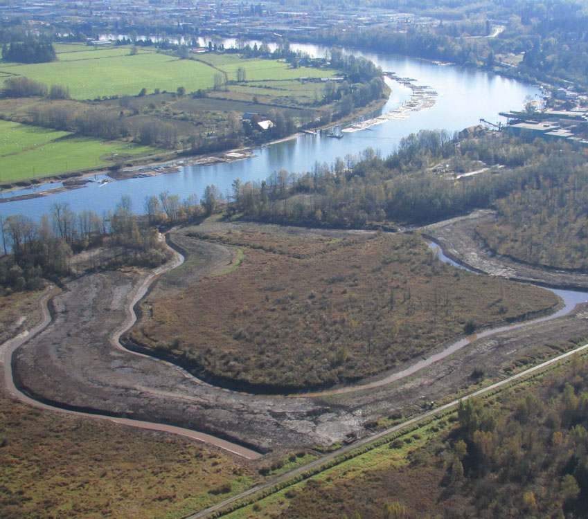 Surrey Bend Regional Park Habitat Rehabilitation Project