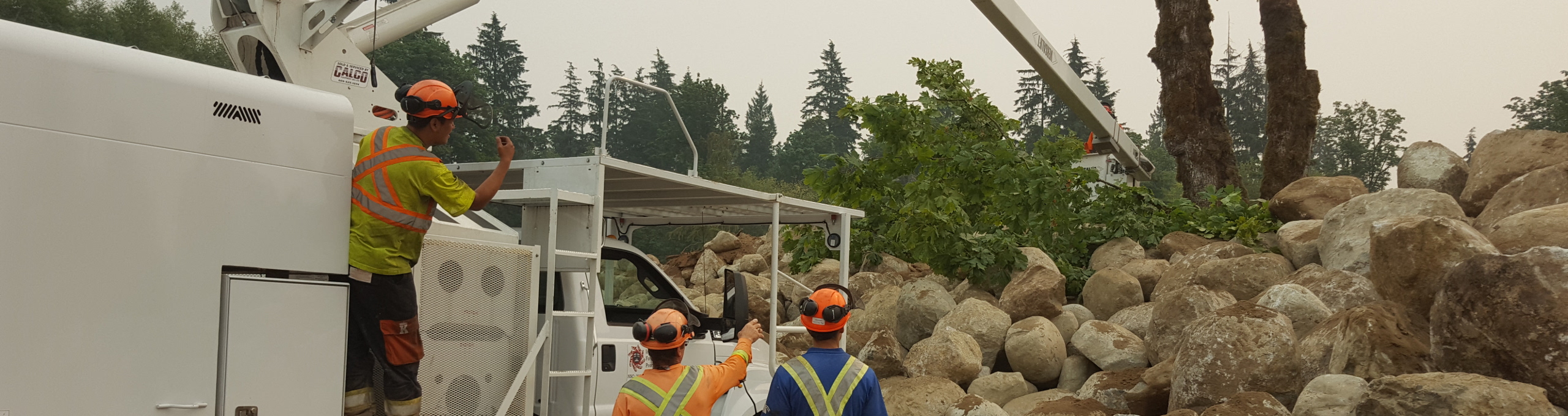 Vegetation Management Services