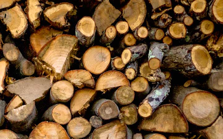 Wood